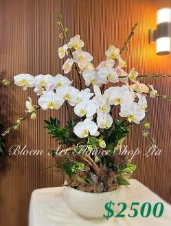 Table arrangement - Premium CODE 63798